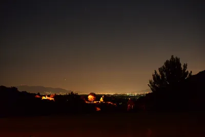 DSC_0749 (Large).JPG